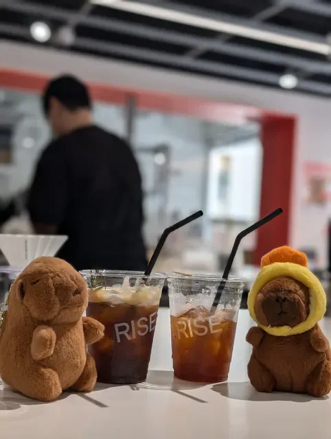 RISE COFFEE - Flagship Store